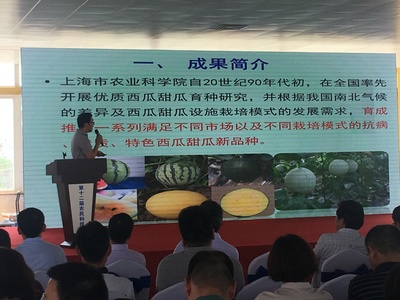 浦东第十二届农民科技节开幕，初夏时节聚焦农业信息咨询