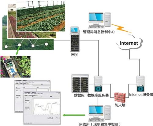 广西智慧农业物联网携手毛葡萄 共铺脱贫致富路