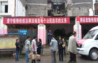 云南省智慧农业信息服务平台 构建惠农信息新生态