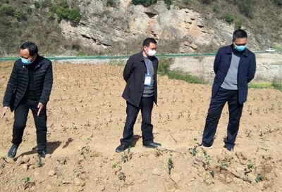 县农业农村局“四个到位”抓实春季农业生产 农业信息咨询