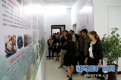 驻马店市首个国家级'星创天地'在上蔡县揭牌，助力农业信息咨询与创新发展