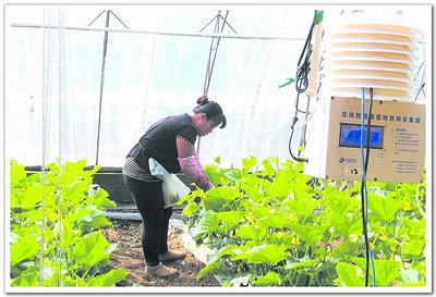 涿鹿县供销合作社 连接城乡的桥梁与现代农业信息咨询的领航者